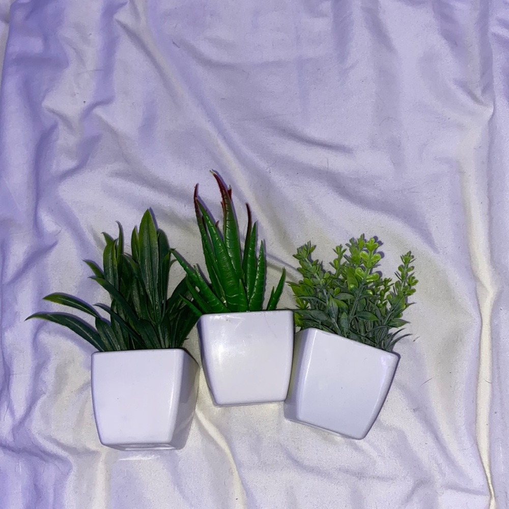 Cute fake mini plants